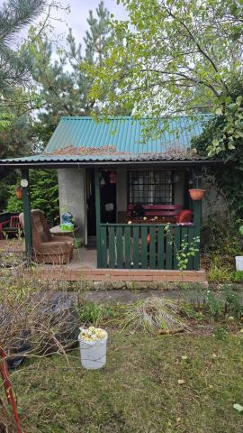 Działka rod Sosnowiec Pogoń, ul. Okólna. Zdjęcie 1