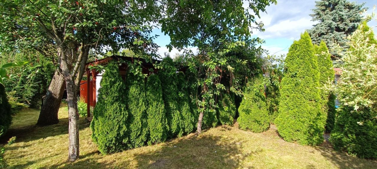 Działka rod Poznań Ogrody. Zdjęcie 7