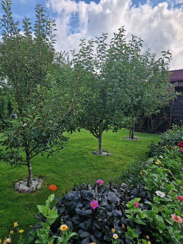 Działka rod Kołobrzeg. Zdjęcie 7