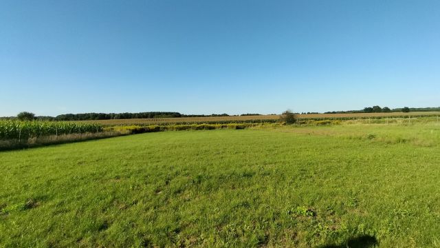 Działka budowlana Ziemiełowice. Zdjęcie 1