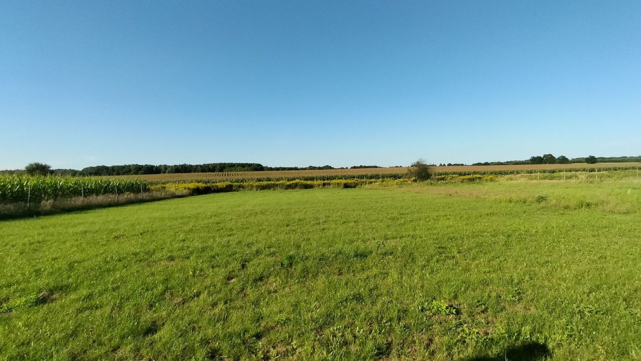 Działka budowlana Ziemiełowice. Zdjęcie 1