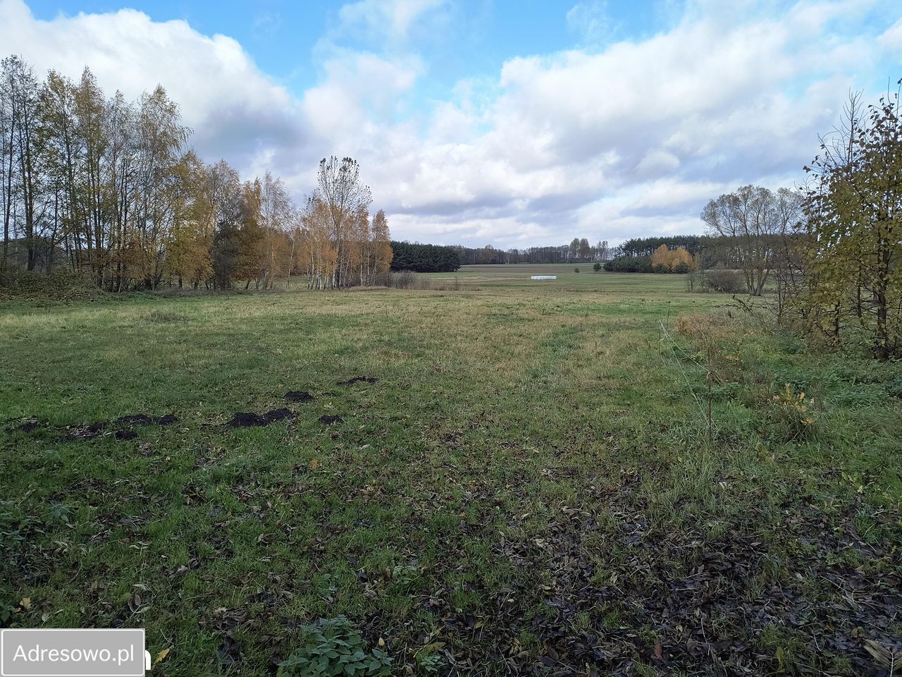 Działka rolno-budowlana Peńskie. Zdjęcie 7
