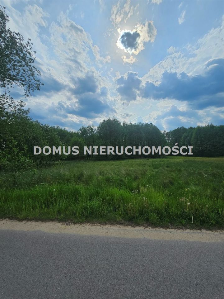 Zdjęcie 2