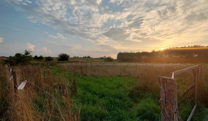 Działka budowlana Dąbrowa Górnicza Błędów, ul. Kuźnica Błędowska