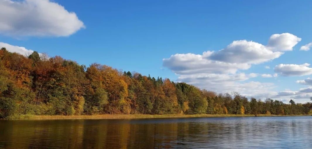 dom wolnostojący, 3 pokoje Winiec. Zdjęcie 12