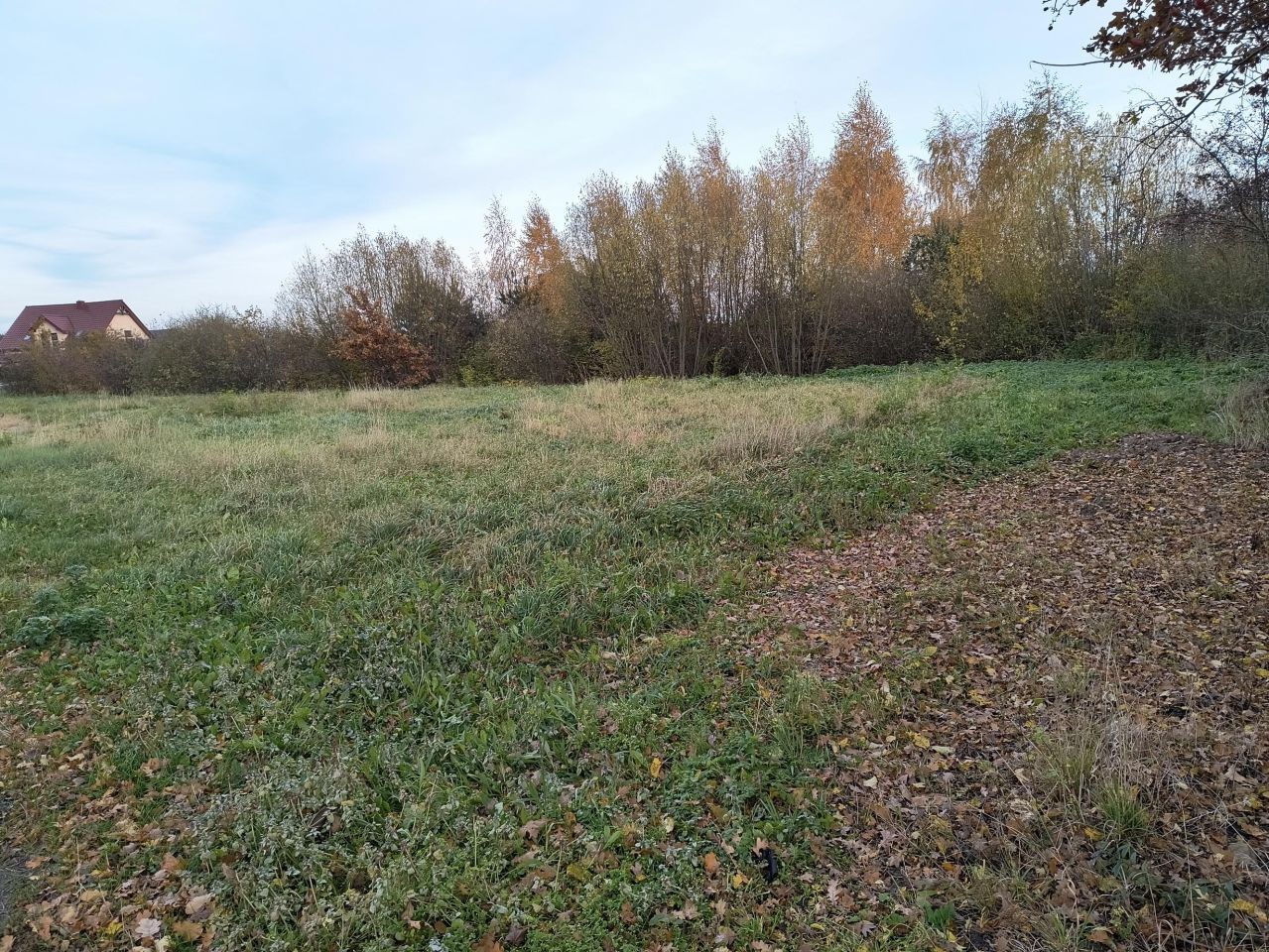 Działka budowlana Choceń, ul. Leśna. Zdjęcie 4