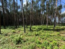 Działka budowlana Chańcza. Zdjęcie 3
