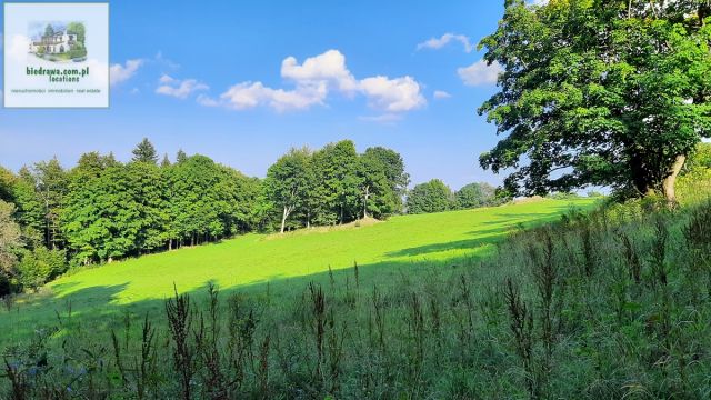 Działka budowlana Duszniki-Zdrój Zieleniec. Zdjęcie 11