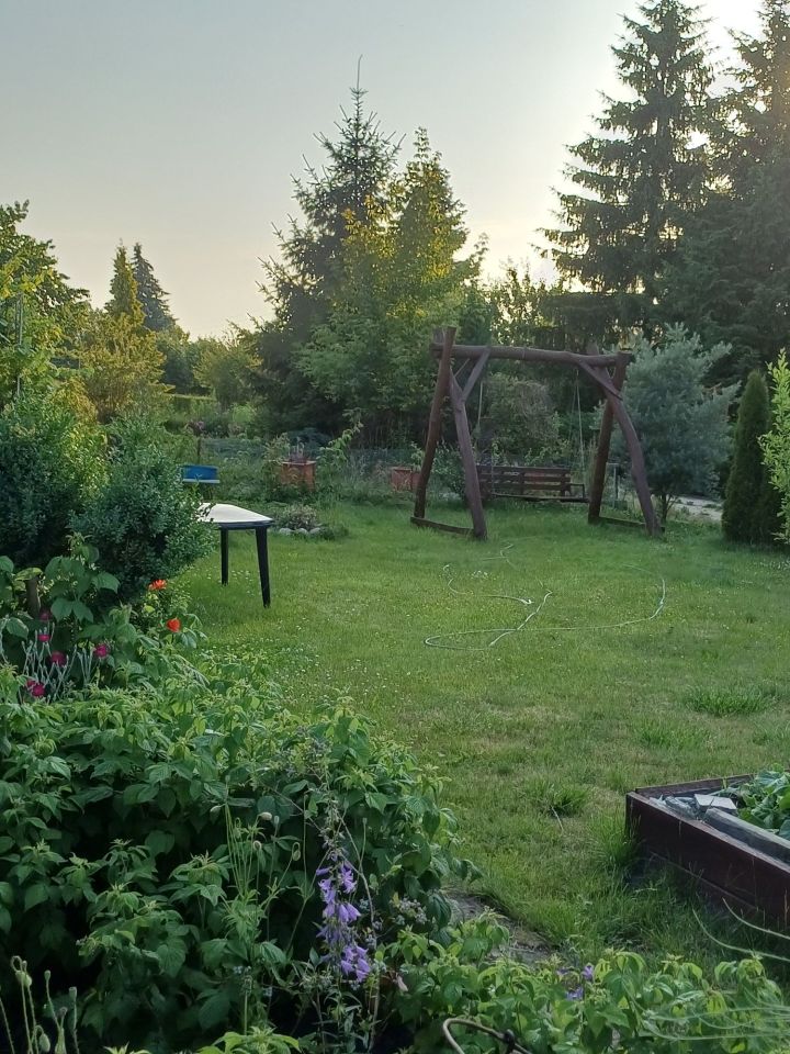 Działka rod Chodzież. Zdjęcie 3