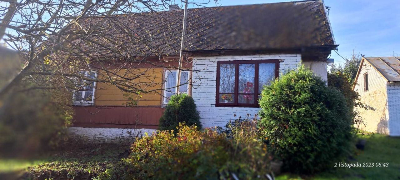 siedlisko Gorzakiew. Zdjęcie 2