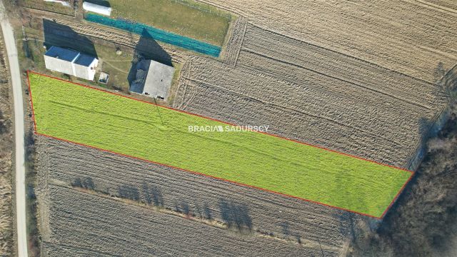 Działka Szczurowa, Popędzyna. Zdjęcie 3