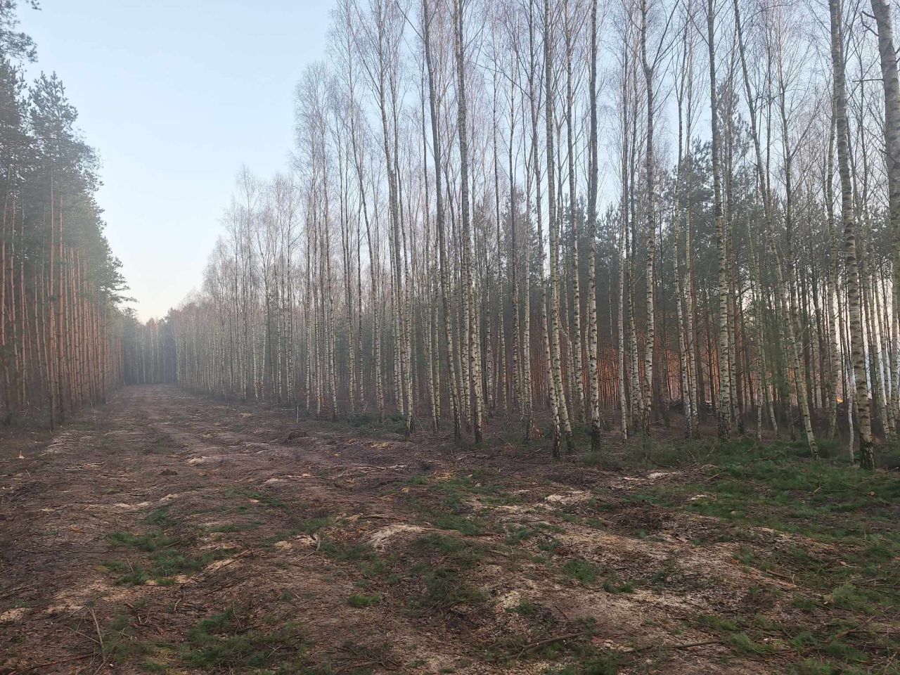 Działka budowlana Świecie. Zdjęcie 6