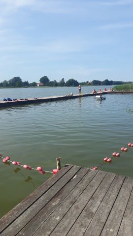 Działka rolna Nowy Dwór. Zdjęcie 1