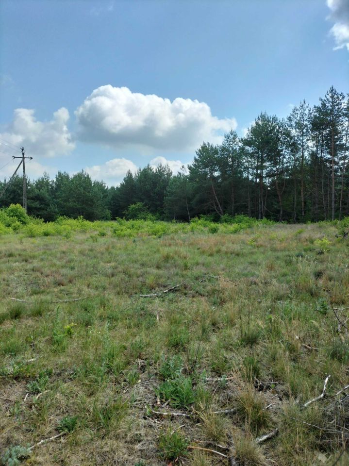 Działka rekreacyjna Chorzele. Zdjęcie 2