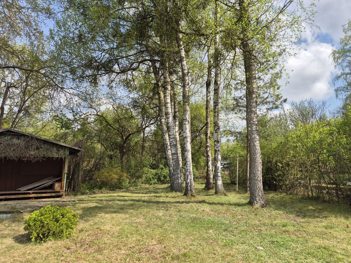 Działka rod Klebark Mały. Zdjęcie 8