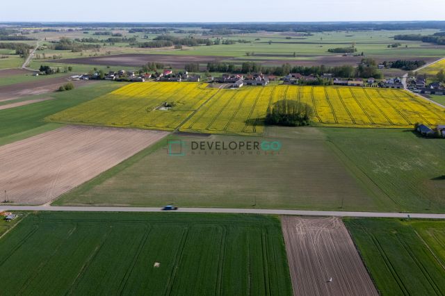Działka budowlana Kurowo-Kolonia. Zdjęcie 7