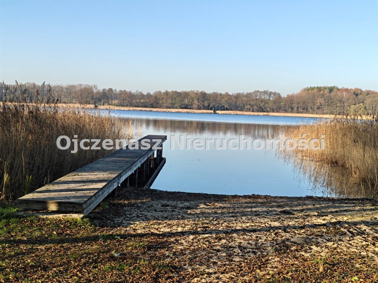 Działka budowlana Jeleń. Zdjęcie 9