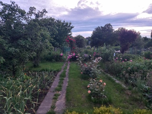 Działka rod Wrocław Szczepin, ul. Starogroblowa. Zdjęcie 1