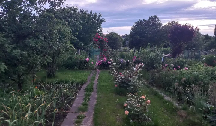 Działka rod Wrocław Szczepin, ul. Starogroblowa