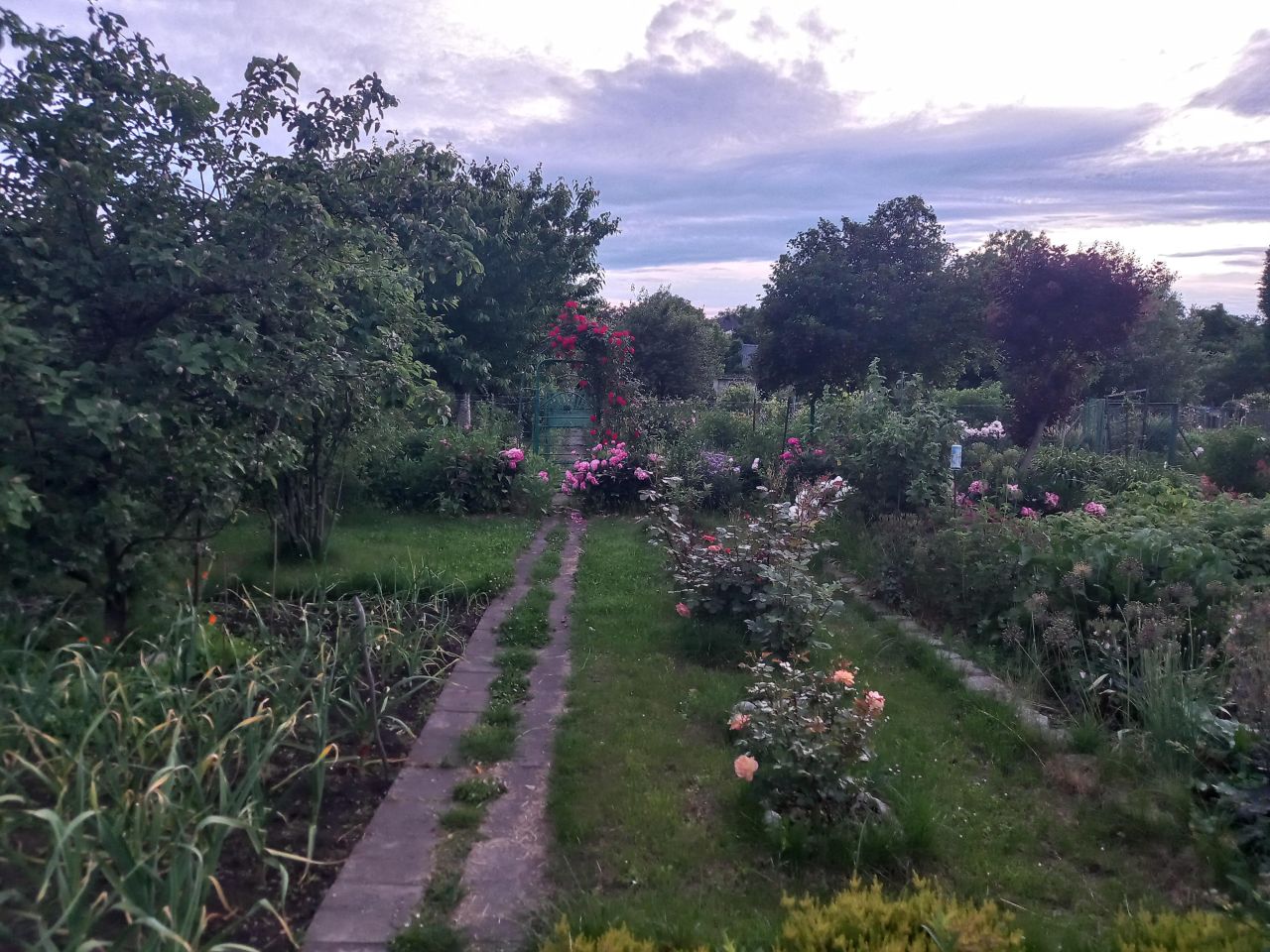 Działka rod Wrocław Szczepin, ul. Starogroblowa. Zdjęcie 1