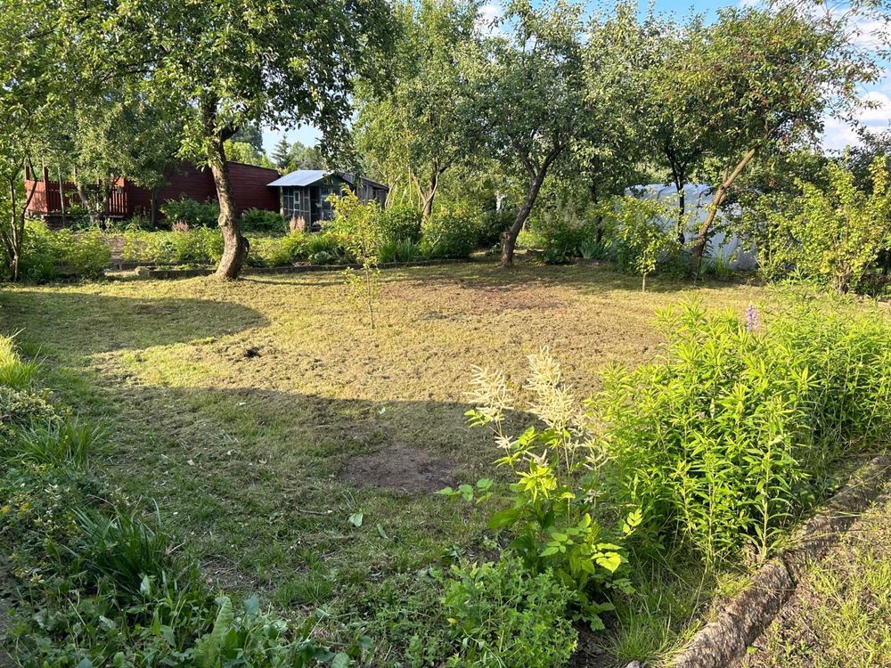 Działka rod Odolanów. Zdjęcie 6