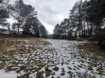 Działka rekreacyjna Przeborowo. Zdjęcie 1