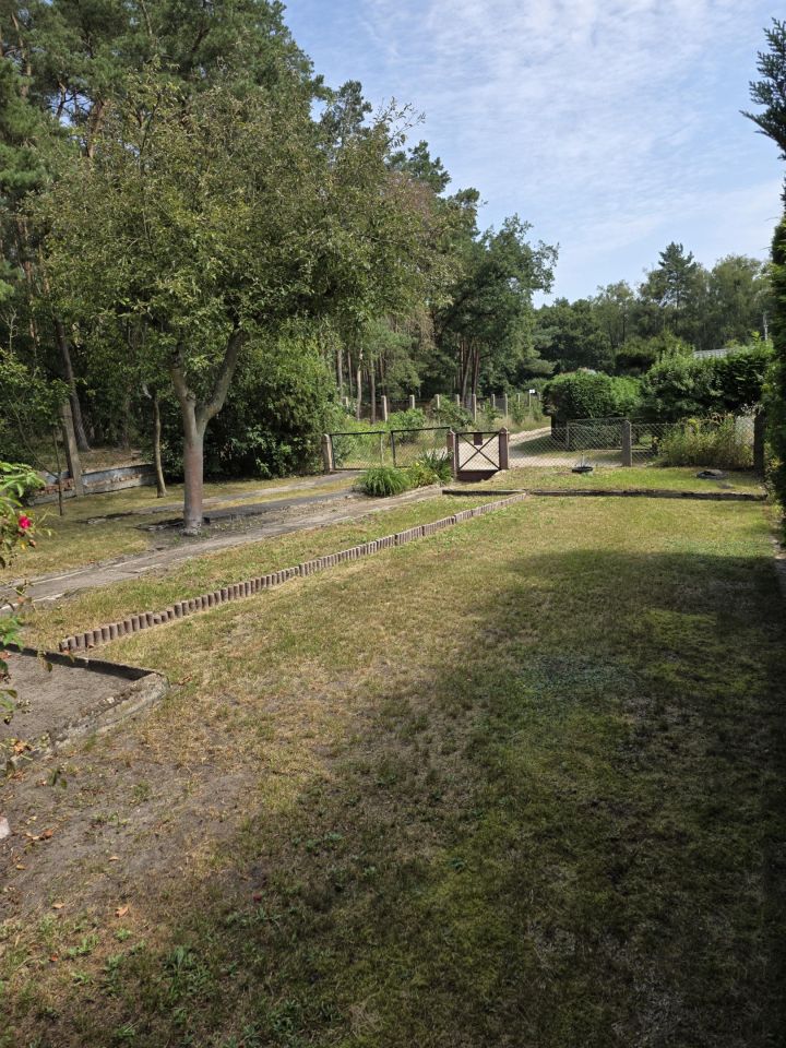 Działka rod Bartoszewo. Zdjęcie 6