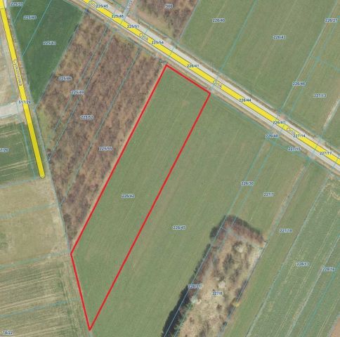 Działka budowlana Kalinówka. Zdjęcie 1