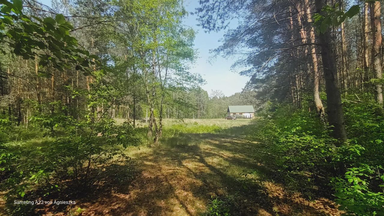 Działka budowlana Maciejewo. Zdjęcie 5