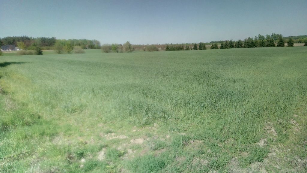 Działka rolna Aleksandrów