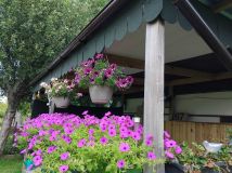 Działka rod Słupsk, ul. Gdańska. Zdjęcie 2