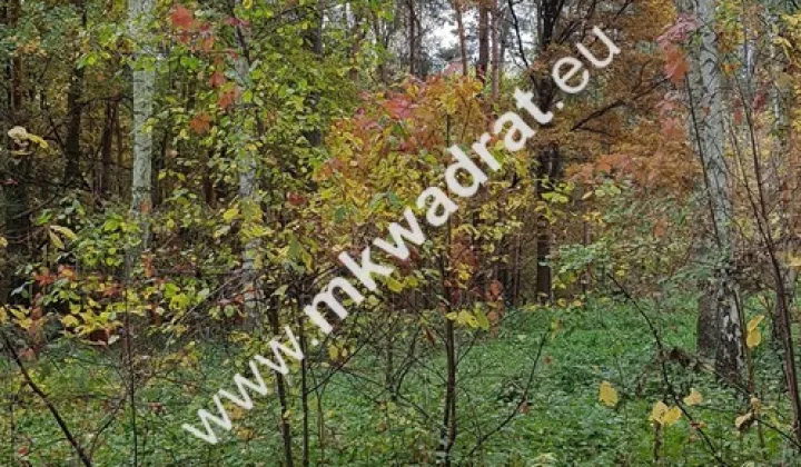 Działka budowlana Siestrzeń