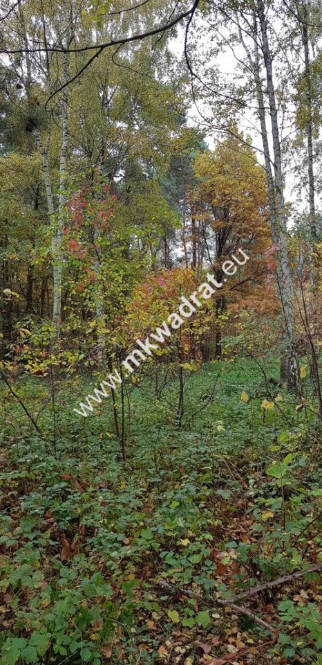 Działka budowlana Siestrzeń. Zdjęcie 3