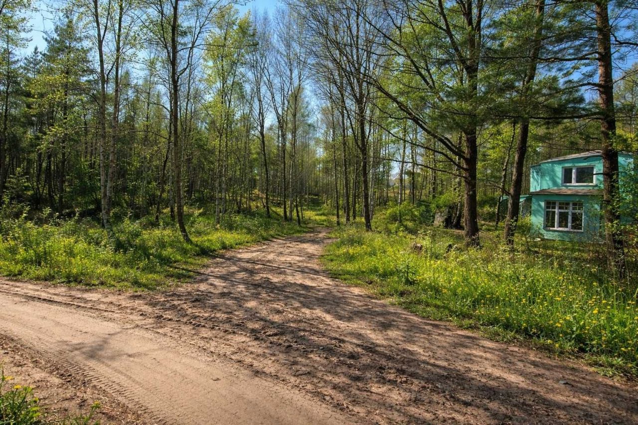 Działka rekreacyjna Bukowina. Zdjęcie 2