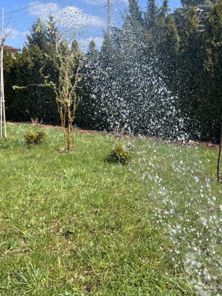 bliźniak, 4 pokoje Łosia Wólka Dobrzyń, ul. Południowa. Zdjęcie 3