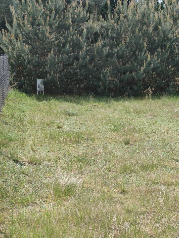 Działka rekreacyjna Lubieniec Wieś Lubieniecka. Zdjęcie 7