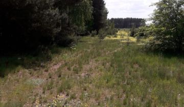 Działka Kruczy Borek