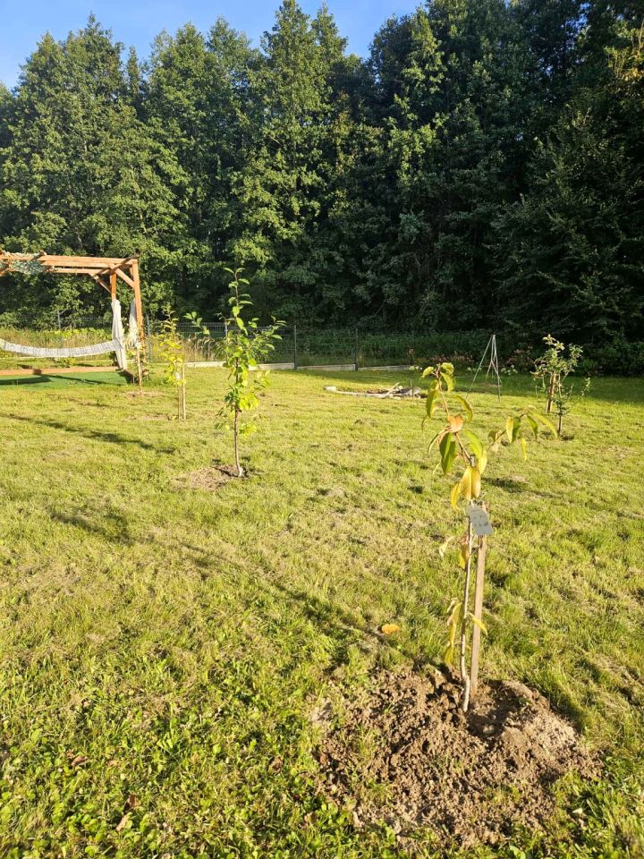 Działka budowlana Sterławki Małe. Zdjęcie 6