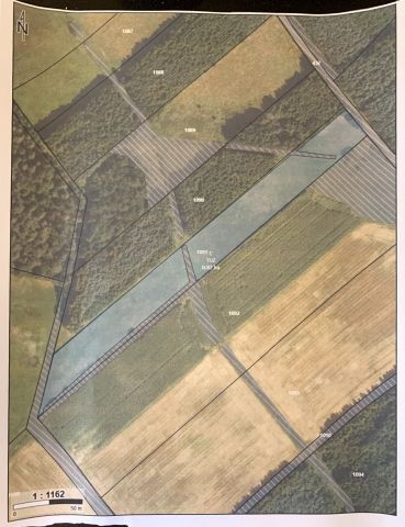 Działka rolna Dubicze Cerkiewne. Zdjęcie 1