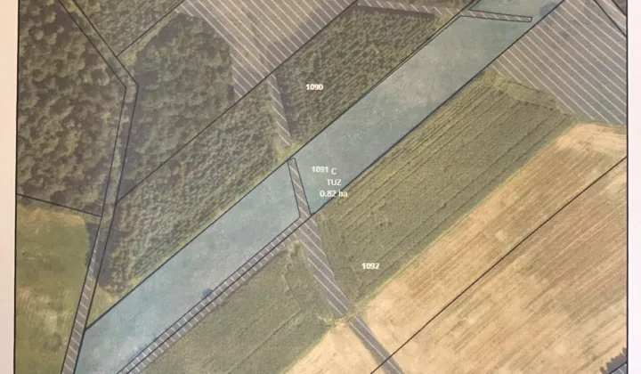 Działka rolna Dubicze Cerkiewne