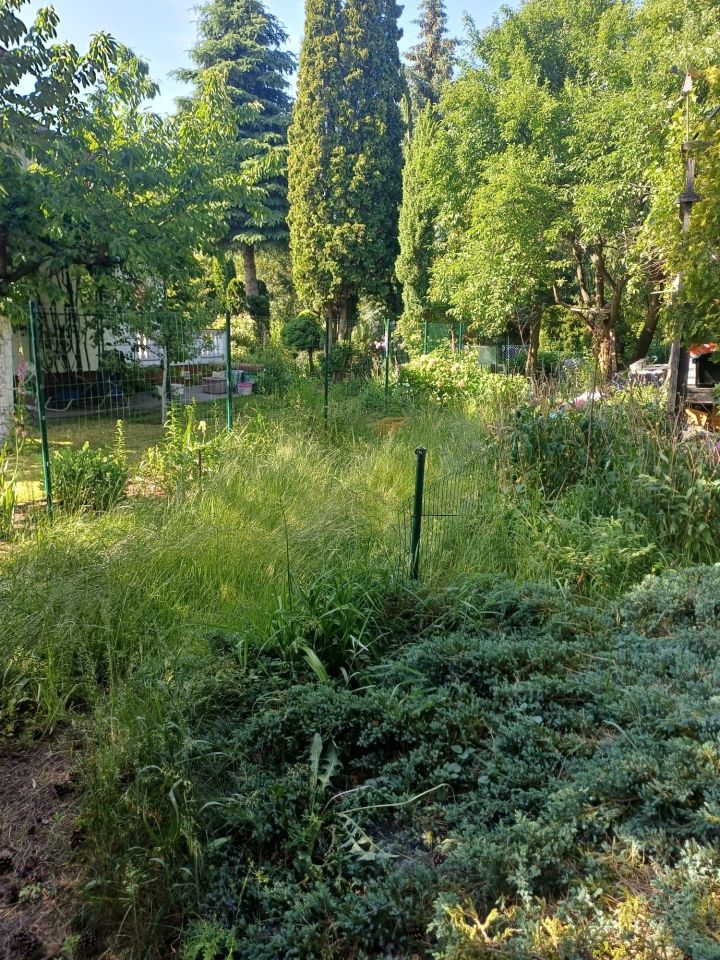 Działka rekreacyjna Żurczyn. Zdjęcie 6