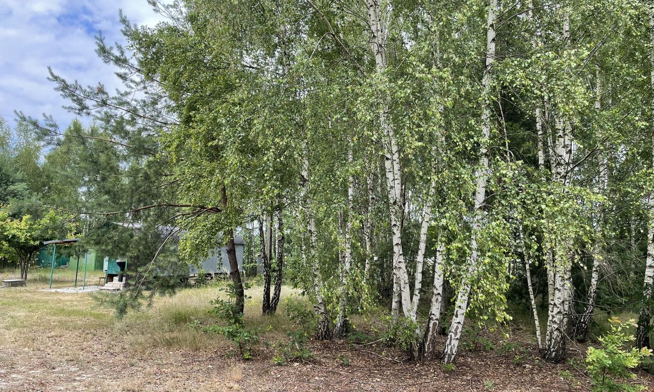 Działka budowlana Gościencin. Zdjęcie 10