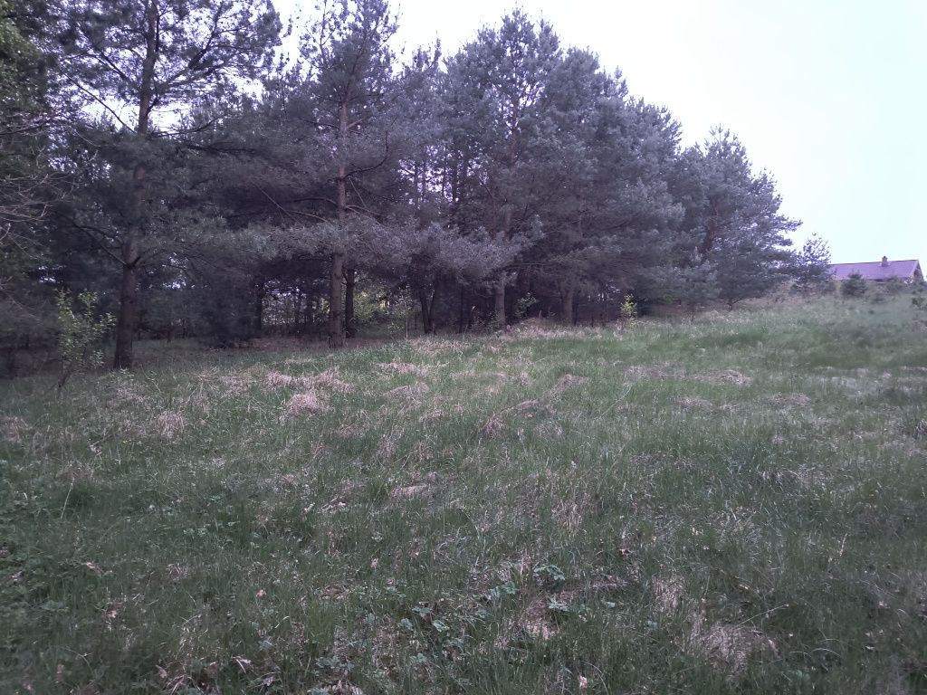 Działka rolna Jarczewo. Zdjęcie 3