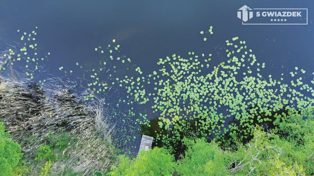 Działka budowlana Dziki. Zdjęcie 5