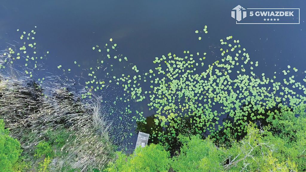 Działka budowlana Dziki. Zdjęcie 5