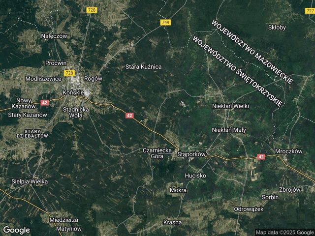 Działka leśna Kozia Wola. Zdjęcie 1