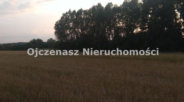 Działka rolna Chrystkowo. Zdjęcie 7