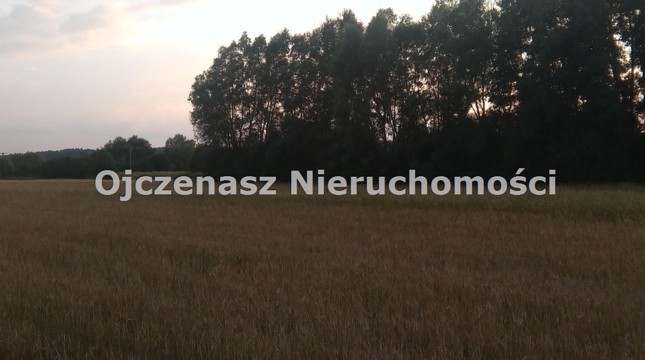 Działka rolna Chrystkowo. Zdjęcie 7