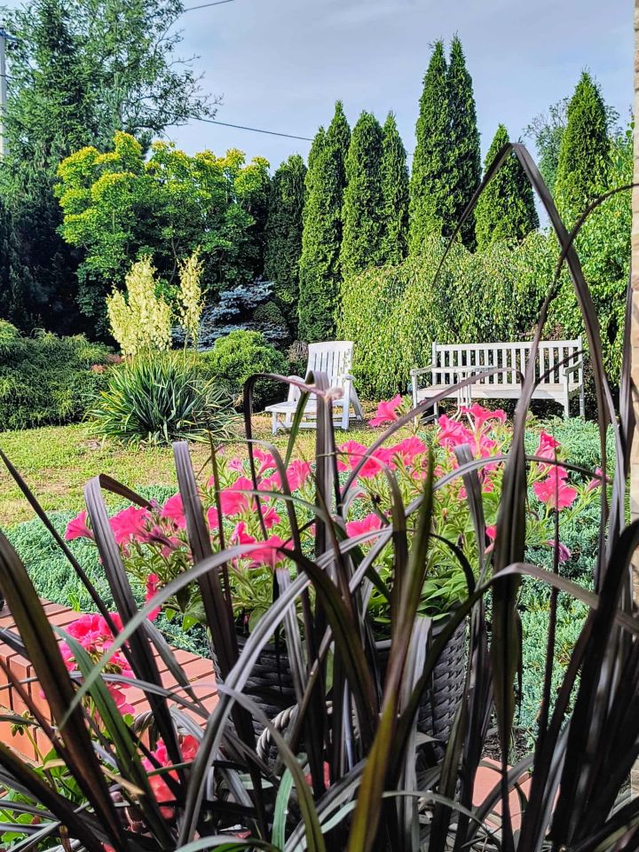 Działka siedliskowa Strachowo. Zdjęcie 6