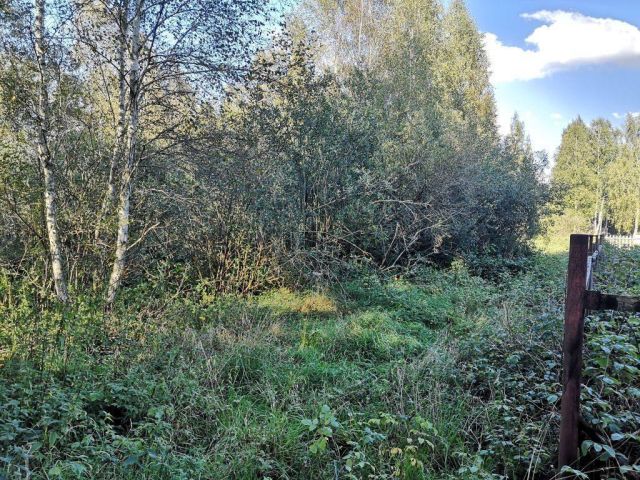 Działka rekreacyjna Szczechy Małe. Zdjęcie 3